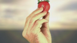 Erdbeere in Hand