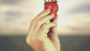 Erdbeere in Hand