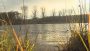 Teich