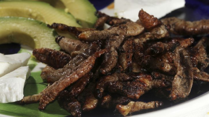 Mexikanisches Essen mit Wuermern