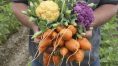 Hands Holding Vegetables