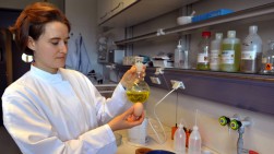 Eier werden auf Dioxin-Belastung überprueft
