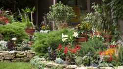 Garten ohne Giftpflanzen