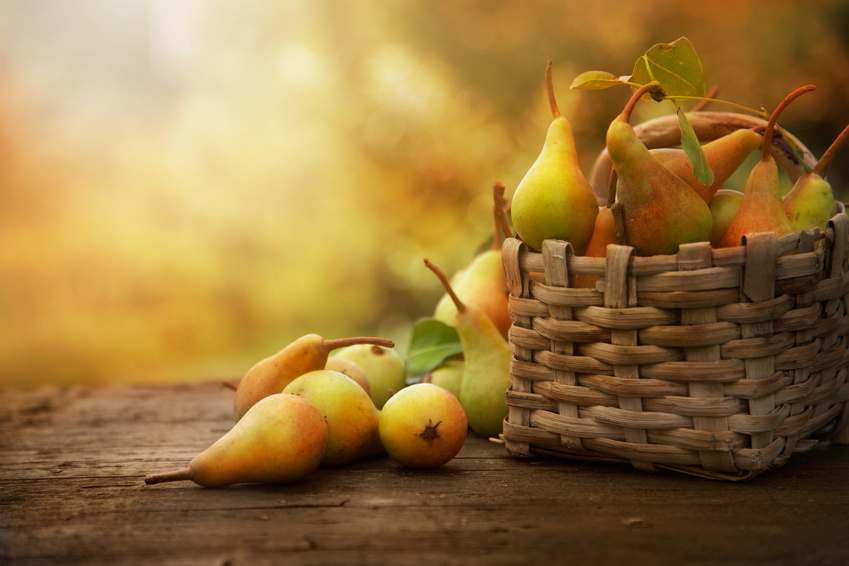 Welches Obst hat Saison im Herbst? | evidero