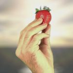 Isst Deutschland nachhaltig? Erdbeeren zu jeder Jahreszeit?