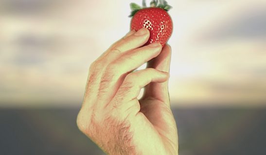 Isst Deutschland nachhaltig? Erdbeeren zu jeder Jahreszeit?