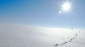 Schneestapfer