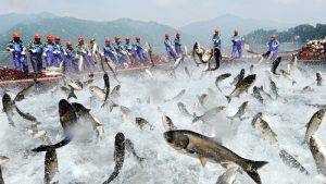 Fischfang in China