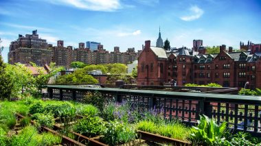 Urban Gardening stammt aus New York