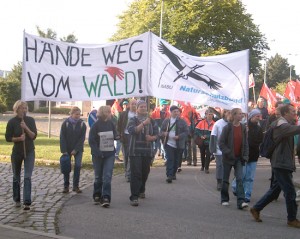Wald-Demo in Bewegung
