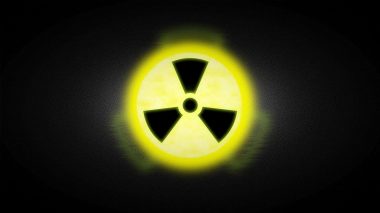 Atomkraft ein Jahr nach Fukushima