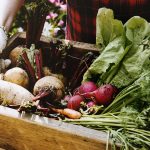 Urlaub gegen Arbeit: Wwoofing