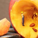 Verschwendung von Lebensmitteln stoppen