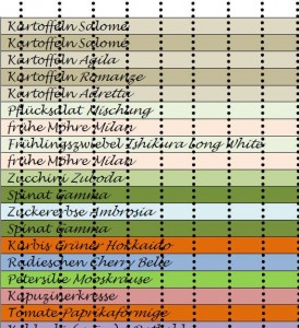 Tabelle mit Pflanzen und Parzellenplan