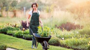 Gartenarbeit verbraucht viele Kalorien