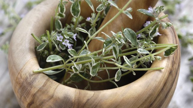 Rezepte mit Thymian | evidero