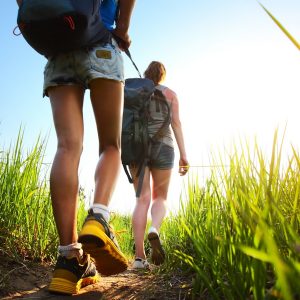 Viele Gegenden bieten sich für eine schöne Wanderung an