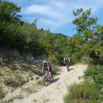 Männer auf Mountainbikes