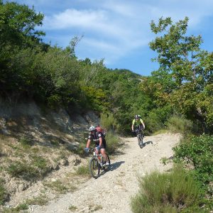 Männer auf Mountainbikes