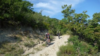 Männer auf Mountainbikes