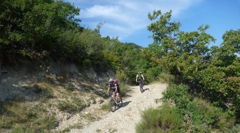 Männer auf Mountainbikes