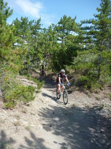 Männer auf Mountainbikes