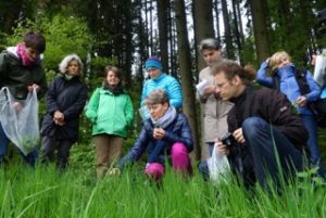 Wildkräuter Führung mit Andrea Nossem