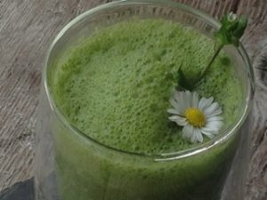 Smoothie mit Blume © Andrea Nossem