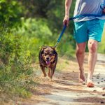 Im Alltag barfuß unterwegs sein - auch beim Spaziergang mit dem Hund
