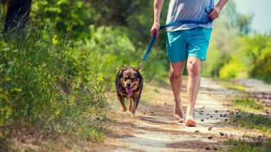 Im Alltag barfuß unterwegs sein - auch beim Spaziergang mit dem Hund