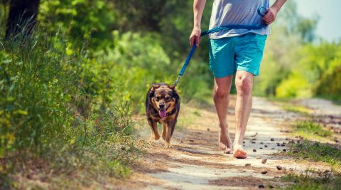 Im Alltag barfuß unterwegs sein - auch beim Spaziergang mit dem Hund