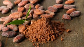 Kakaobohnen und rohes Kakaopulver