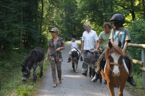 Tierspaziergang mit Kindern