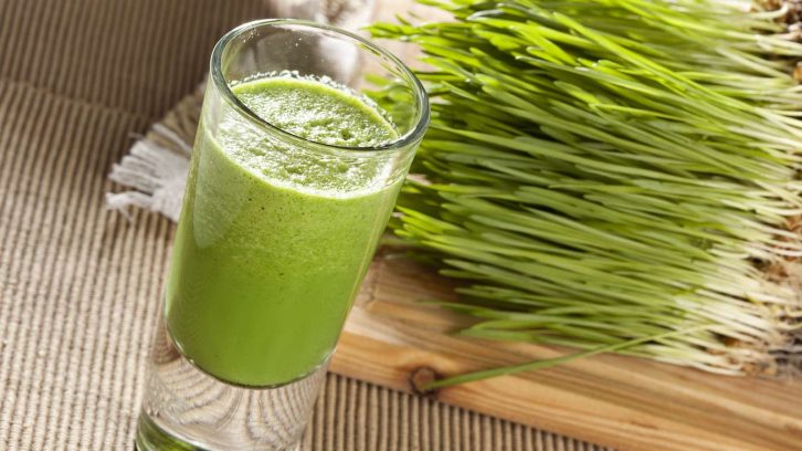 Weizengras Superfood für die Gesundheit | evidero