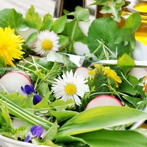 Wildkraeutersalat mit Loewenzahn