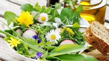 Wildkraeutersalat mit Loewenzahn