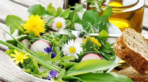 Wildkraeutersalat mit Loewenzahn