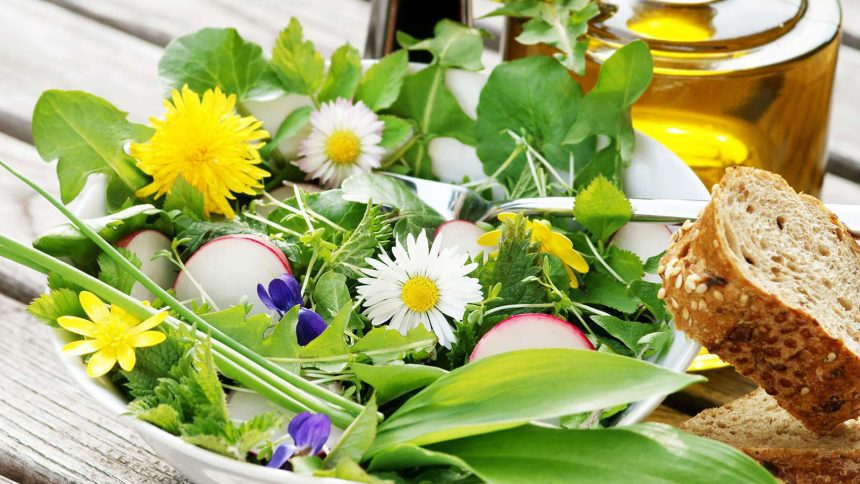 Wildkraeutersalat mit Loewenzahn