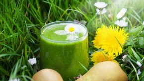 Wildkräuter Smoothies im Sommer