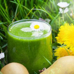 Wildkräuter Smoothies im Sommer