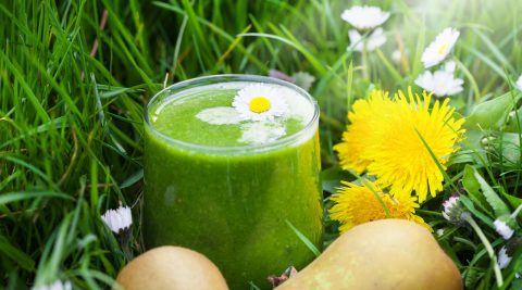 Wildkräuter Smoothies im Sommer