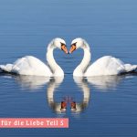 Liebesinspirationen Teil 5