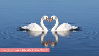 Liebesinspirationen Teil 5