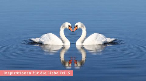 Liebesinspirationen Teil 5