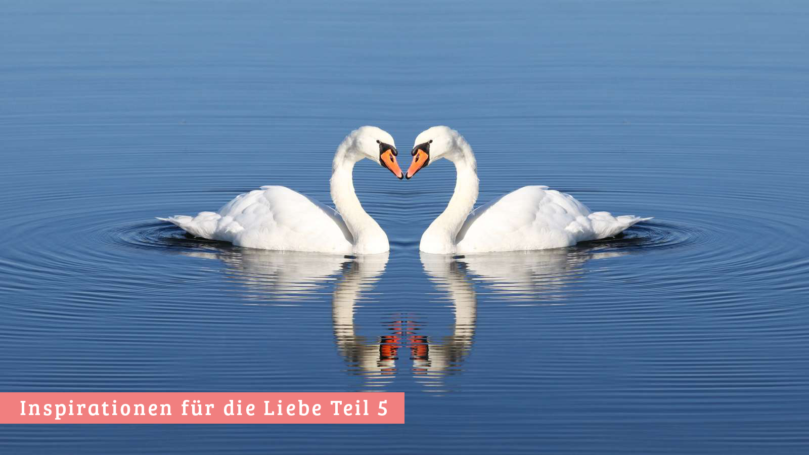 die liebe fürs leben