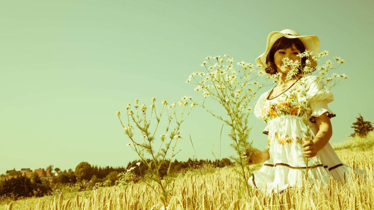 Was blüht im August? evidero