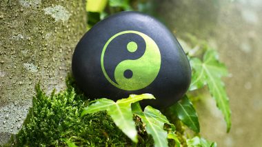 Yin und Yang im Yoga