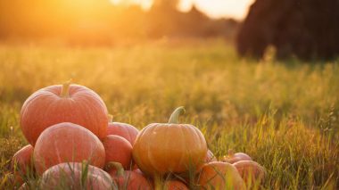 Herbst Ernährung TCM