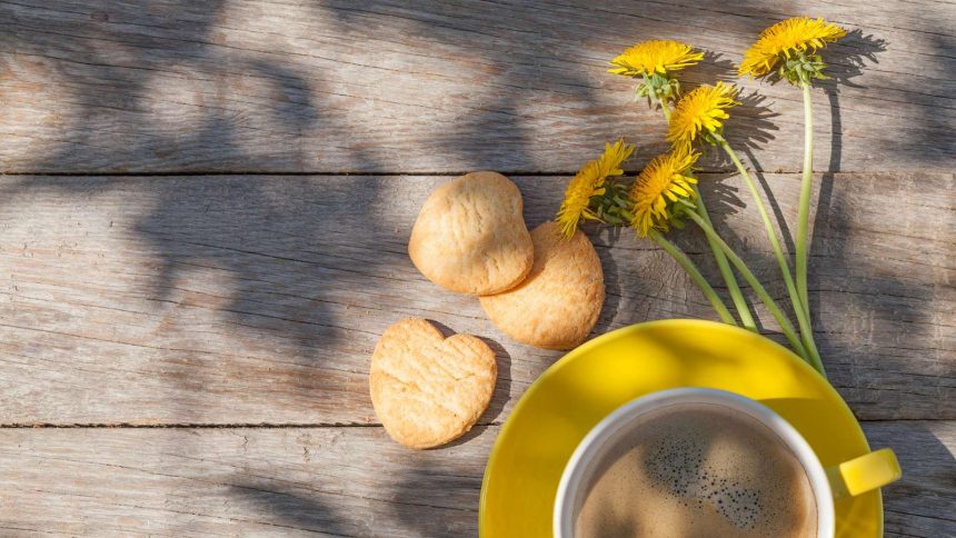 Kaffee aus Löwenzahn herstellen