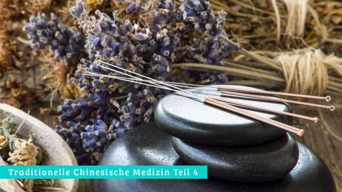 Die 5-Elemente-Ernährung der Traditionellen Chinesischen Medizin | evidero